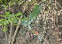  ( - JE-8216)  @11 [ ] CreativeCommons - Attribution Share-Alike (2019) Unspecified Universidad Nacional Autonoma de Mexico