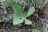  ( - JE-8786)  @11 [ ] CreativeCommons - Attribution Share-Alike (2019) Unspecified Universidad Nacional Autonoma de Mexico