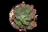  ( - JE-6089-2)  @11 [ ] CreativeCommons  Attribution Non-Commercial (by-nc) (2018) Luis Emilio de la Cruz López Universidad Nacional Autonoma de Mexico, UNAM