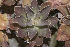  ( - JE-6322)  @11 [ ] CreativeCommons  Attribution Non-Commercial (by-nc) (2018) Luis Emilio de la Cruz López Universidad Nacional Autonoma de Mexico, UNAM