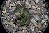  ( - JE-8061)  @11 [ ] CreativeCommons  Attribution Non-Commercial (by-nc) (2018) Luis Emilio de la Cruz López Universidad Nacional Autonoma de Mexico, UNAM