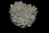  ( - JE-8292-2)  @11 [ ] CreativeCommons  Attribution Non-Commercial (by-nc) (2018) Luis Emilio de la Cruz López Universidad Nacional Autonoma de Mexico, UNAM