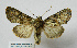  ( - VED17A044)  @11 [ ] Copyright (2018) Szekely Levente Unspecified
