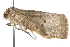  ( - MM01231)  @12 [ ] CreativeCommons - Attribution (2010) Unspecified Centre for Biodiversity Genomics