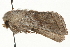  ( - MM01561)  @12 [ ] CreativeCommons - Attribution (2010) Unspecified Centre for Biodiversity Genomics