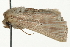  ( - MM01606)  @13 [ ] CreativeCommons - Attribution (2010) Unspecified Centre for Biodiversity Genomics
