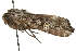  ( - MM01712)  @12 [ ] CreativeCommons - Attribution (2010) Unspecified Centre for Biodiversity Genomics