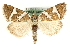  ( - MM01751)  @14 [ ] CreativeCommons - Attribution (2010) Unspecified Centre for Biodiversity Genomics