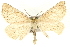  ( - MM01752)  @13 [ ] CreativeCommons - Attribution (2010) Unspecified Centre for Biodiversity Genomics