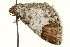  ( - MM01755)  @12 [ ] CreativeCommons - Attribution (2010) Unspecified Centre for Biodiversity Genomics