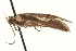  ( - MM01771)  @12 [ ] CreativeCommons - Attribution (2010) Unspecified Centre for Biodiversity Genomics