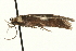  ( - MM01772)  @12 [ ] CreativeCommons - Attribution (2010) Unspecified Centre for Biodiversity Genomics