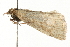  ( - MM01855)  @13 [ ] CreativeCommons - Attribution (2010) Unspecified Centre for Biodiversity Genomics