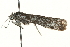  ( - MM04114)  @12 [ ] CreativeCommons - Attribution (2010) Unspecified Centre for Biodiversity Genomics