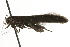  ( - MM04129)  @12 [ ] CreativeCommons - Attribution (2010) Unspecified Centre for Biodiversity Genomics