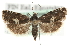  ( - MM04149)  @14 [ ] CreativeCommons - Attribution (2010) Unspecified Centre for Biodiversity Genomics
