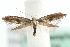 ( - MM09734)  @14 [ ] CreativeCommons - Attribution (2010) Unspecified Centre for Biodiversity Genomics