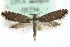  ( - MM09794)  @13 [ ] CreativeCommons - Attribution (2010) Unspecified Centre for Biodiversity Genomics