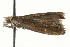  ( - MM13869)  @12 [ ] CreativeCommons - Attribution (2010) Unspecified Centre for Biodiversity Genomics