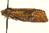  ( - MM01910)  @12 [ ] CreativeCommons - Attribution (2010) Unspecified Centre for Biodiversity Genomics