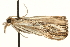  ( - MM01922)  @12 [ ] CreativeCommons - Attribution (2010) Unspecified Centre for Biodiversity Genomics