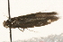  ( - MM02626)  @12 [ ] CreativeCommons - Attribution (2010) Unspecified Centre for Biodiversity Genomics