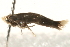  ( - MM02641)  @12 [ ] CreativeCommons - Attribution (2010) Unspecified Centre for Biodiversity Genomics
