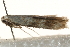  ( - MM02648)  @13 [ ] CreativeCommons - Attribution (2010) Unspecified Centre for Biodiversity Genomics