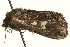  ( - MM02705)  @12 [ ] CreativeCommons - Attribution (2010) Unspecified Centre for Biodiversity Genomics