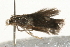  ( - MM03165)  @12 [ ] CreativeCommons - Attribution (2010) Unspecified Centre for Biodiversity Genomics