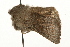  ( - MM00415)  @12 [ ] CreativeCommons - Attribution (2010) Unspecified Centre for Biodiversity Genomics