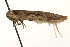  ( - MM00461)  @13 [ ] CreativeCommons - Attribution (2010) Unspecified Centre for Biodiversity Genomics