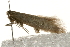  ( - MM00545)  @13 [ ] CreativeCommons - Attribution (2010) Unspecified Centre for Biodiversity Genomics