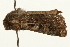  ( - MM00730)  @12 [ ] CreativeCommons - Attribution (2010) Unspecified Centre for Biodiversity Genomics