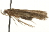  ( - MM00773)  @12 [ ] CreativeCommons - Attribution (2010) Unspecified Centre for Biodiversity Genomics