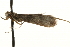  ( - MM00777)  @12 [ ] CreativeCommons - Attribution (2010) Unspecified Centre for Biodiversity Genomics