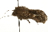  ( - MM00810)  @12 [ ] CreativeCommons - Attribution (2010) Unspecified Centre for Biodiversity Genomics