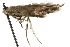  ( - MM00865)  @13 [ ] CreativeCommons - Attribution (2010) Unspecified Centre for Biodiversity Genomics