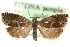  ( - MM00964)  @14 [ ] CreativeCommons - Attribution (2010) Unspecified Centre for Biodiversity Genomics