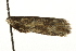  ( - MM02123)  @12 [ ] CreativeCommons - Attribution (2010) Unspecified Centre for Biodiversity Genomics