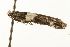  ( - MM02317)  @12 [ ] CreativeCommons - Attribution (2010) Unspecified Centre for Biodiversity Genomics