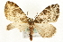 ( - MM02373)  @13 [ ] CreativeCommons - Attribution (2010) Unspecified Centre for Biodiversity Genomics