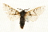  ( - MM02379)  @12 [ ] CreativeCommons - Attribution (2010) Unspecified Centre for Biodiversity Genomics