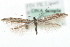  ( - MM03927)  @14 [ ] CreativeCommons - Attribution (2010) Unspecified Centre for Biodiversity Genomics