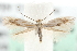  ( - MM03949)  @14 [ ] CreativeCommons - Attribution (2010) Unspecified Centre for Biodiversity Genomics