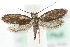  ( - MM03963)  @14 [ ] CreativeCommons - Attribution (2010) Unspecified Centre for Biodiversity Genomics