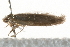  ( - MM03977)  @12 [ ] CreativeCommons - Attribution (2010) Unspecified Centre for Biodiversity Genomics