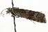  ( - MM03228)  @12 [ ] CreativeCommons - Attribution (2010) Unspecified Centre for Biodiversity Genomics