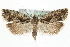  ( - MM03618)  @14 [ ] CreativeCommons - Attribution (2010) Unspecified Centre for Biodiversity Genomics