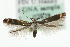  ( - MM03628)  @14 [ ] CreativeCommons - Attribution (2010) Unspecified Centre for Biodiversity Genomics